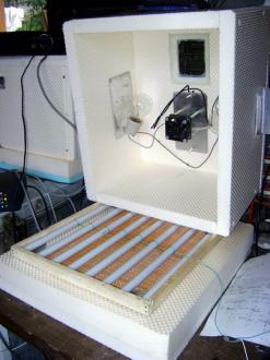 Inkubator za pilice